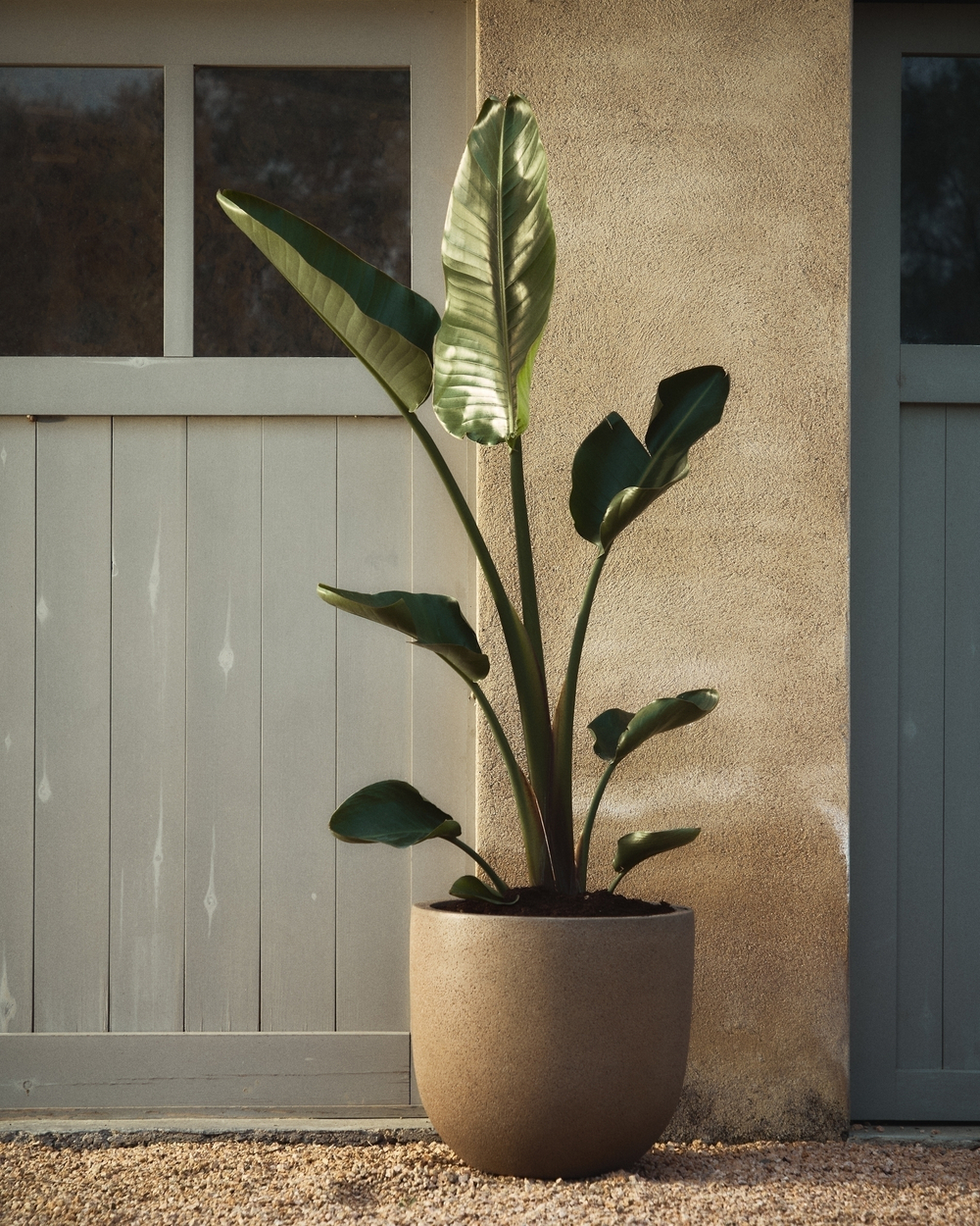 Кашпо Selvi песчаник светло-коричневого цвета  Ø 37 см