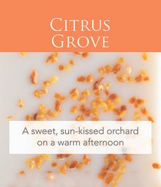 Цитрусовая роща ароматический воск, Candle Warmers