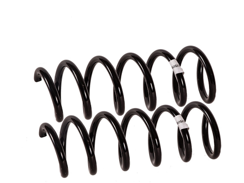 Пружина Х-РЕЙ задние усиленные / 550209371R