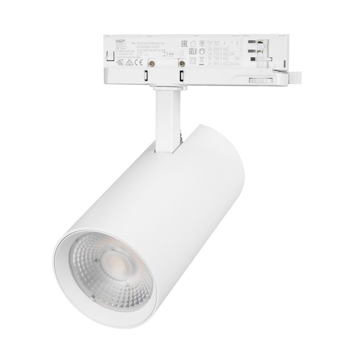 Светильник LGD-GERA-4TR-R90-30W Day4000 (WH, 55 deg, 230V) Arlight 055133