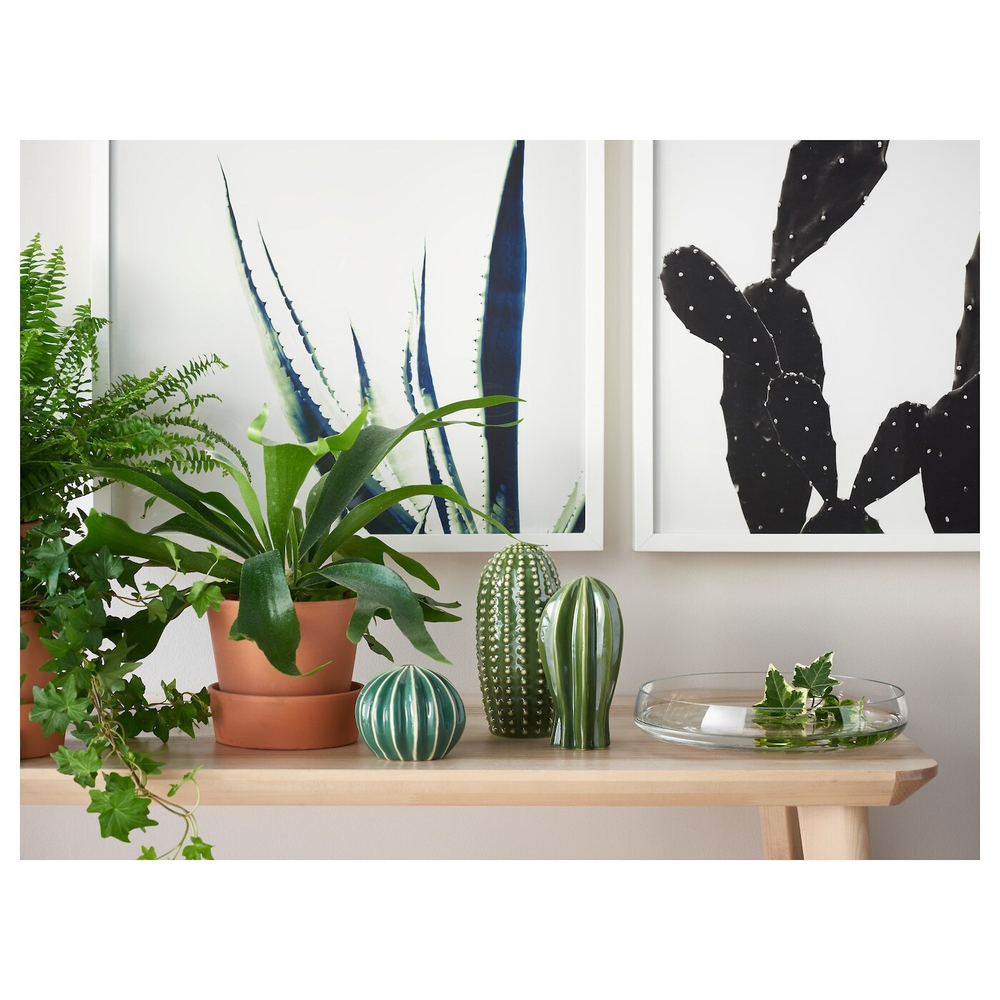 IKEA BILD  (ИКЕА БИЛД)  -  Плакат, Кактус, 50x50 см