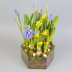 Композиция с первоцветами Весенний микс