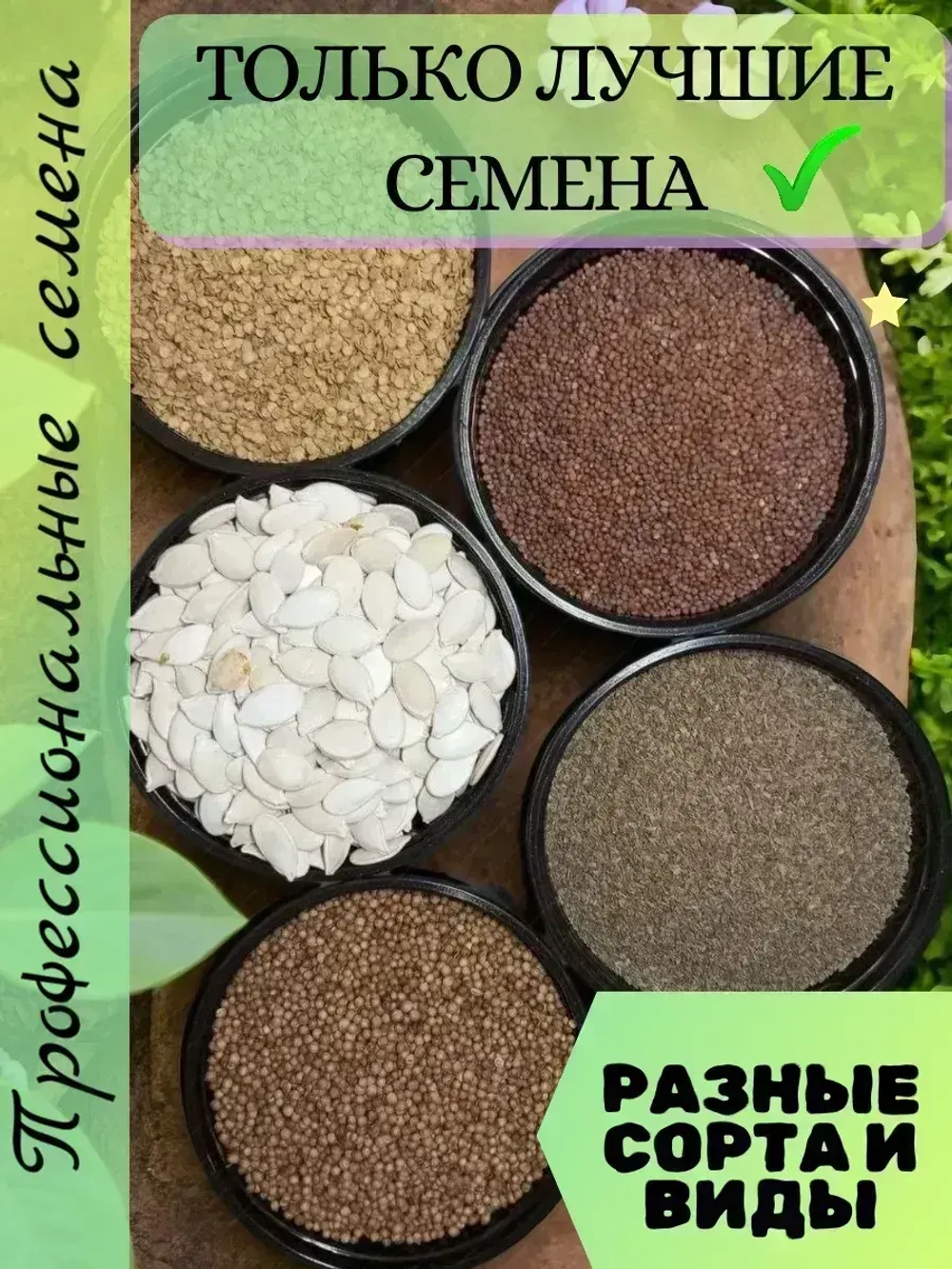 Семена Огурец гибрид ОрлёнокF1 2 гр