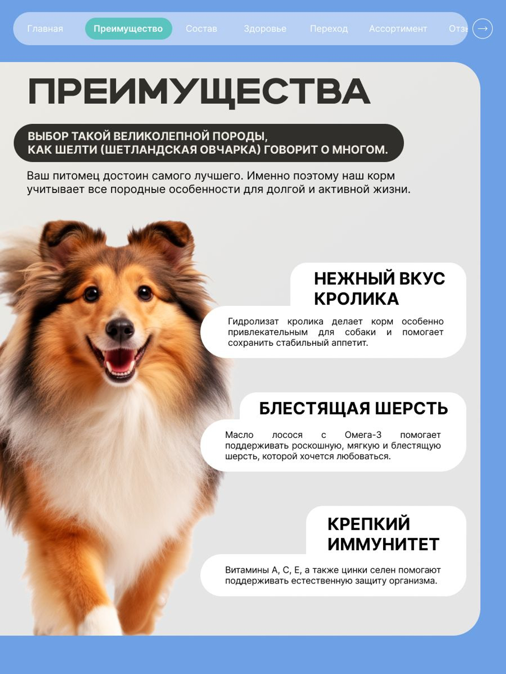 Корм сухой для собак породы Шелти (Шетландская овчарка), с кроликом, 3 кг, QUATTRO