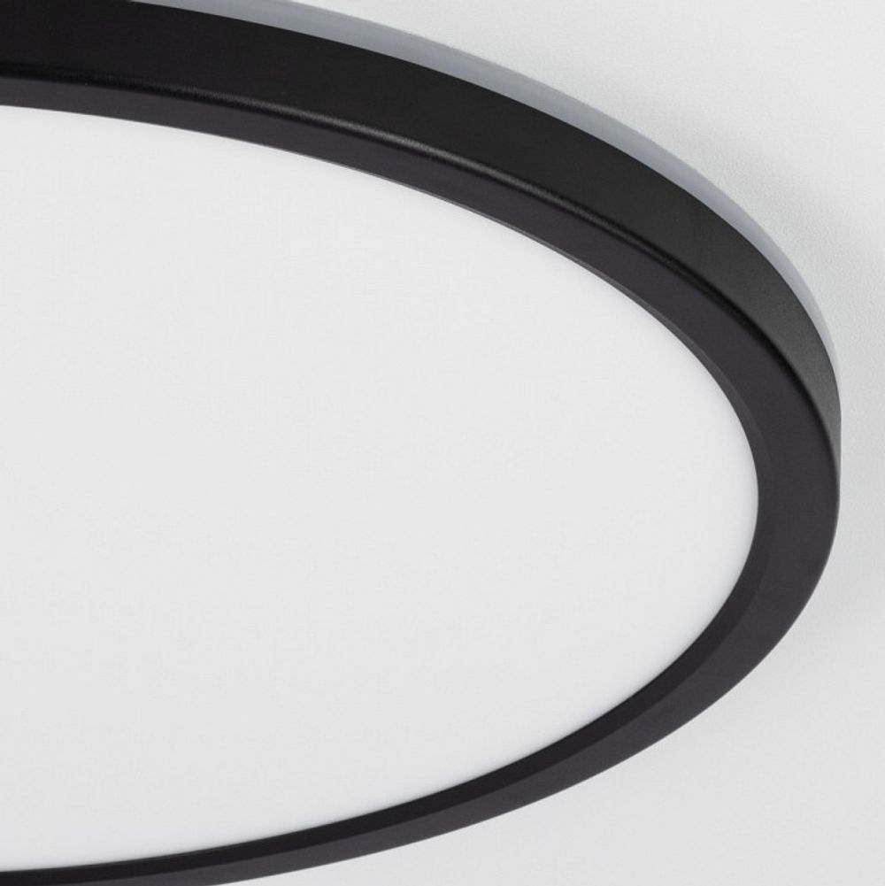 Накладной светильник Citilux Бейсик Лайн CL738321VL