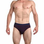 Мужские трусы брифы темно-синие в полоску Sergio Dallini SG2938-3
