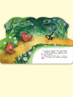 Про башмачки