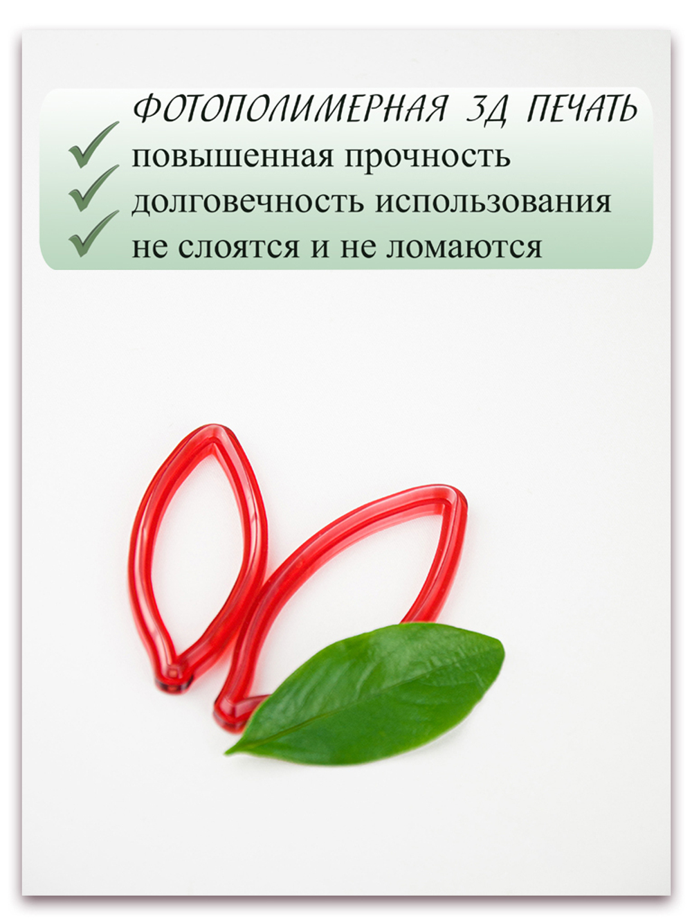 Лист катарантуса