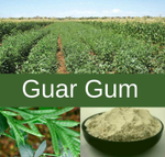 Гуаровая камедь (Guar Gum), Китай