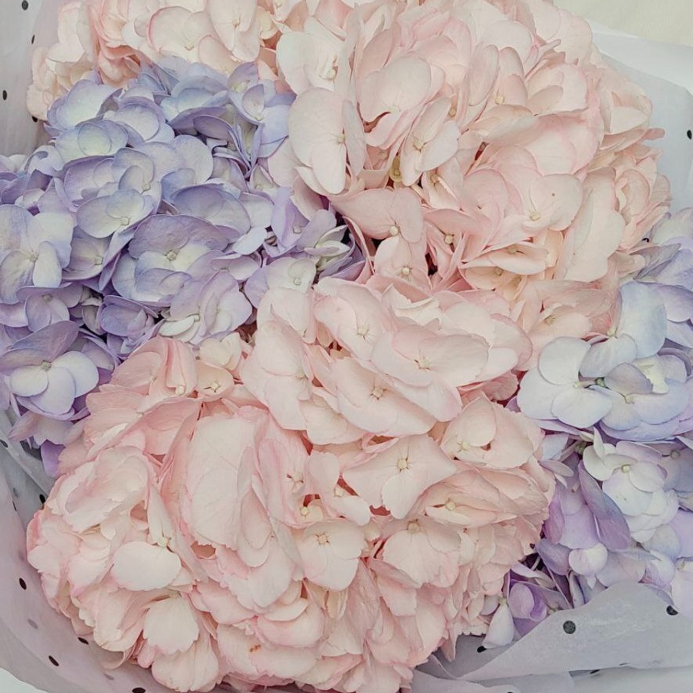 Соберу букет №248