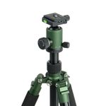 Falcon Eyes Green Line 1718 BHS-15