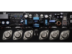 Усилитель для акустики Spotless Audio P250 Monoblock 1 шт