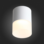 ST100.502.15 Светильник потолочный Белый LED 1*15W 3000K 1 170Lm Ra&gt;80 120° D118xH150 170-240V Накладные светильники