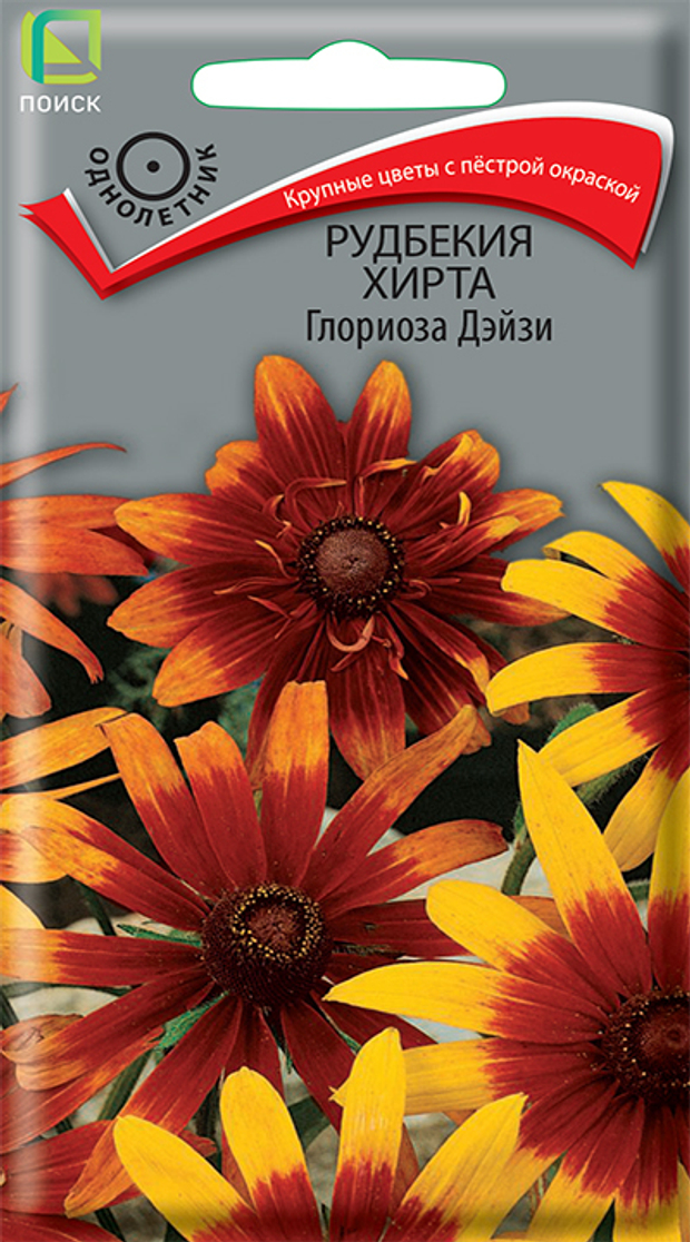 Рудбекия хирта Глориоза Дэйзи