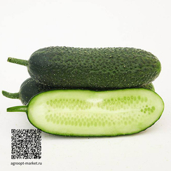Гештальт F1 семена огурца партенокарпического (Гавриш)