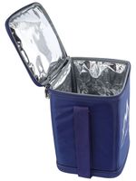 Термосумка 154