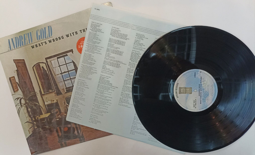 Винтажная виниловая пластинка LP Andrew Gold Whats Wrong With This Picture (USA 1976)