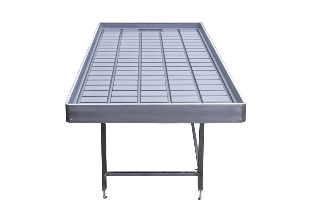 Выращивание томата