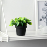 Искусственный цветок в горшке «Хавортия ладьевидная», 7×10 см