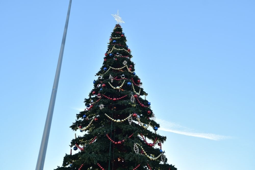 Светодинамическая елка ствольная - встроенная гирлянда: Теплый свет - "Таежная" от 11 до 21 м