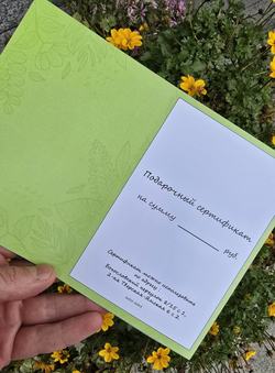 ПОДАРОЧНЫЙ СЕРТИФИКАТ 3000 РУБЛЕЙ