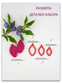 Лист сливы малый