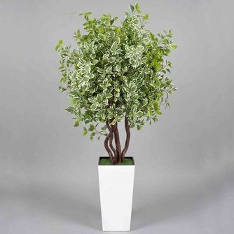 Деревья и растения Премиум качества