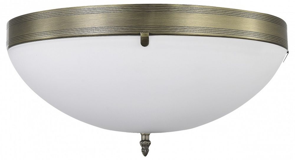 Накладной светильник MyFar Biene MR2521-3W