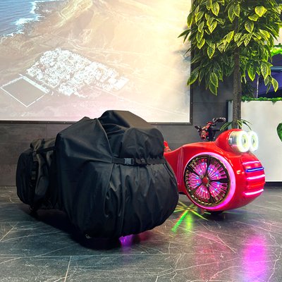 Универсальный чехол для электромобилей и качалок