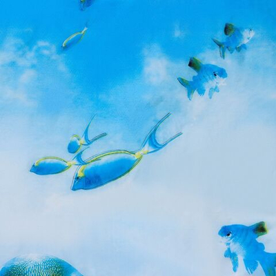 Штора для ванны «Рыбки» (180х180 см) (Цвет: не задано)