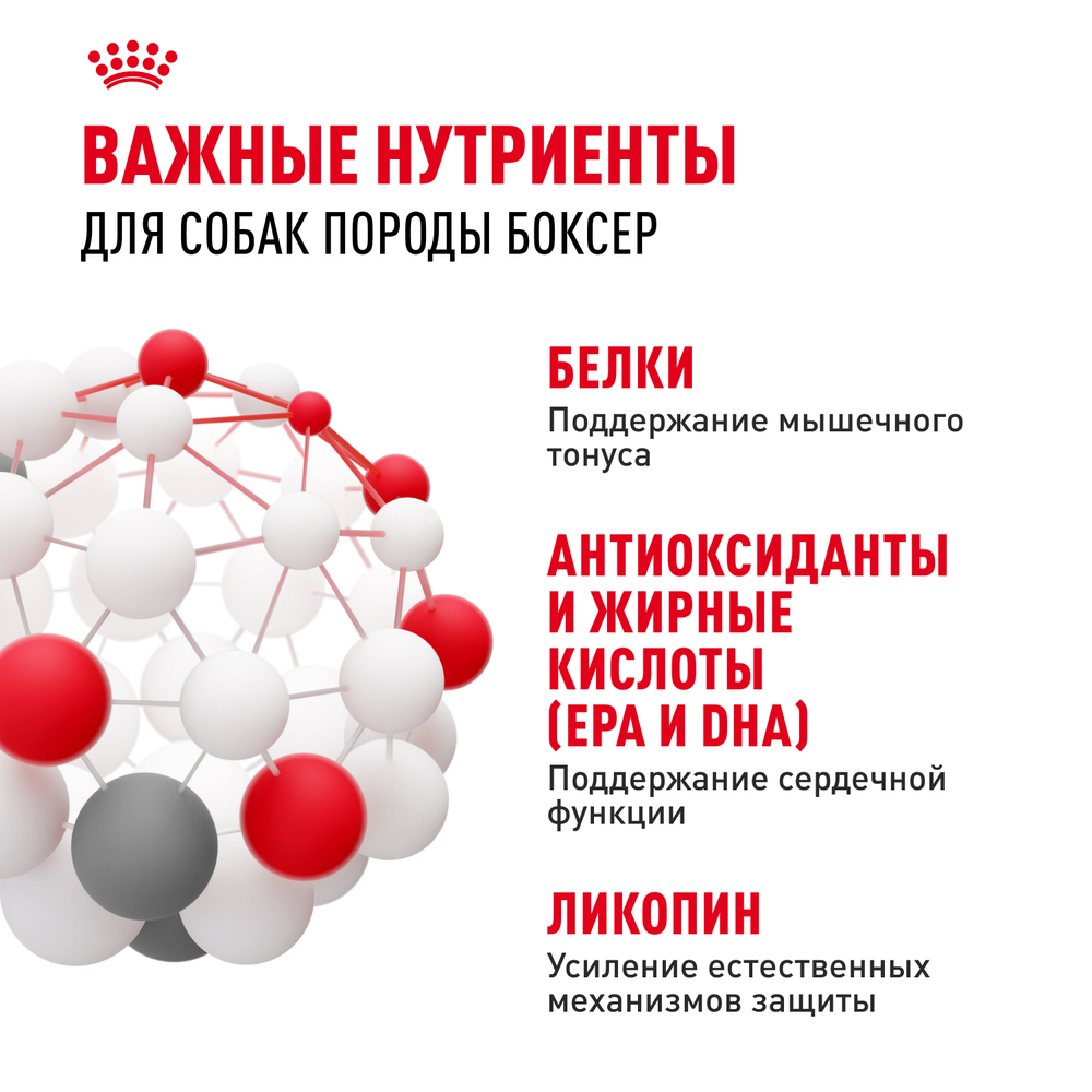 Сухой корм Royal Canin Boxer Adult для взрослых и стареющих собак породы боксер от 15 месяцев, 12 кг