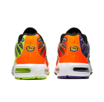 Мужские кроссовки Nike Air Max Plus 'Color Flip Pack Black' CI5924-061