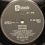 The Beach Boys - Sunflower / Surf's Up 2LP (Голландия)