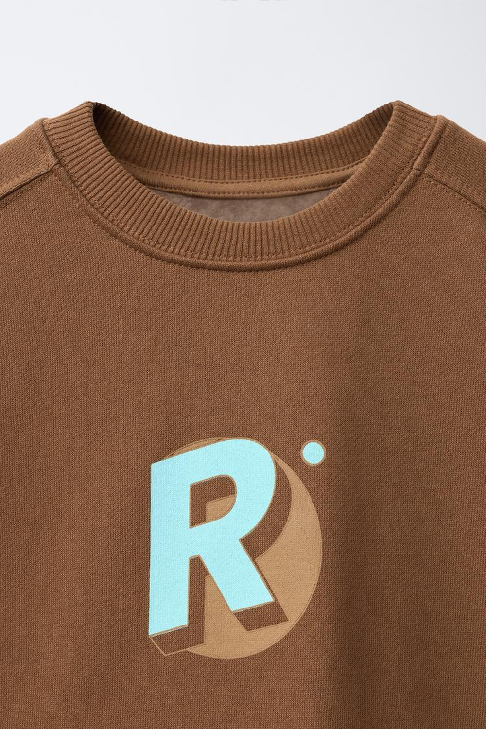 ZARA ТОЛСТОВКА С НАДПИСЬЮ, КОРИЧНЕВЫЙ