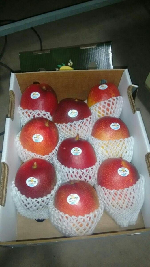 манго сорт "Tommy Atkins" - Бразилия