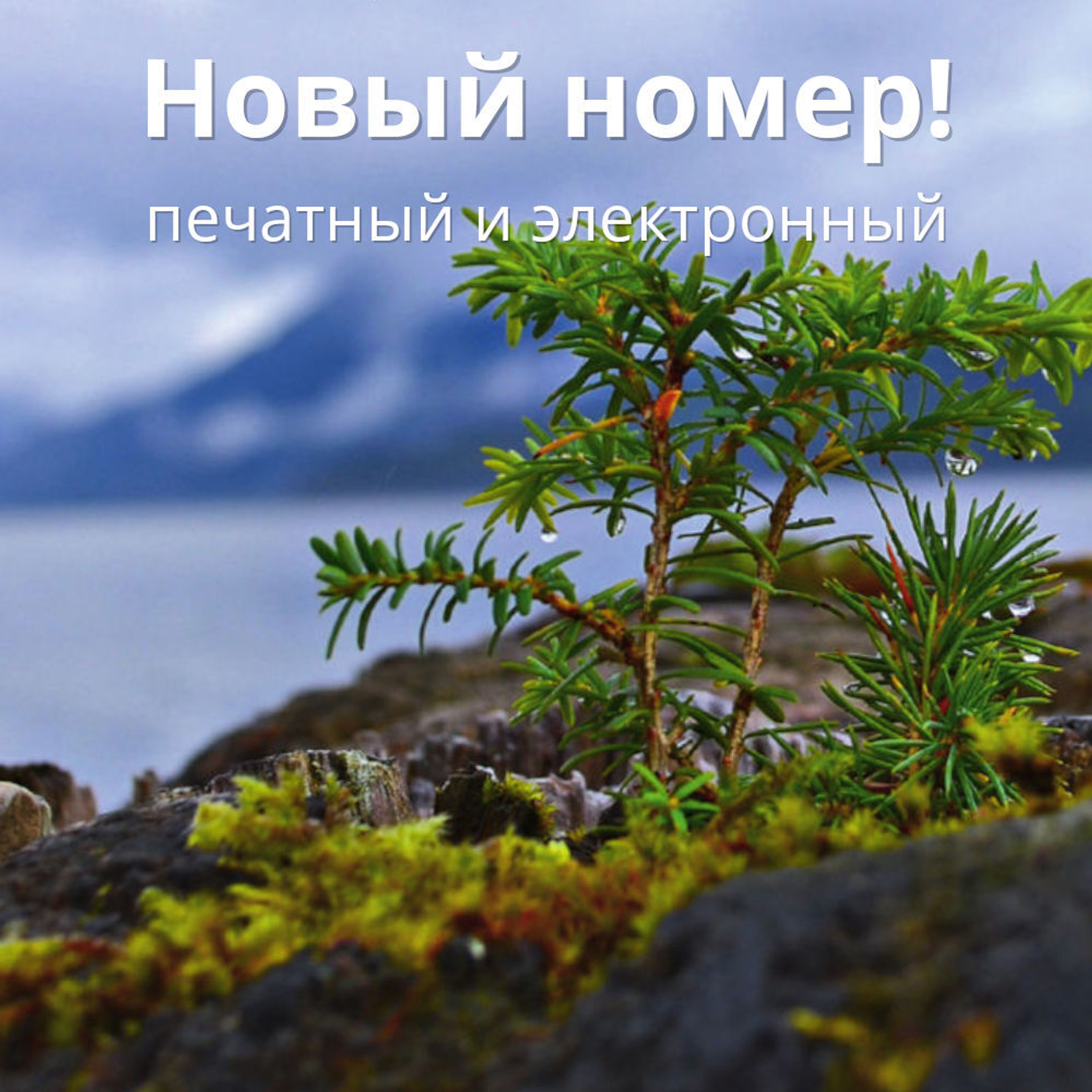 Журнал «Фома» № 4 (240) апрель 2023 г.