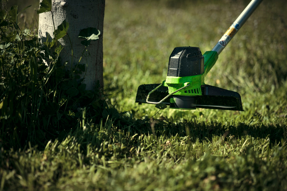 Триммер аккумуляторный Greenworks Арт. 2101507,  30 см, без АКБ и ЗУ