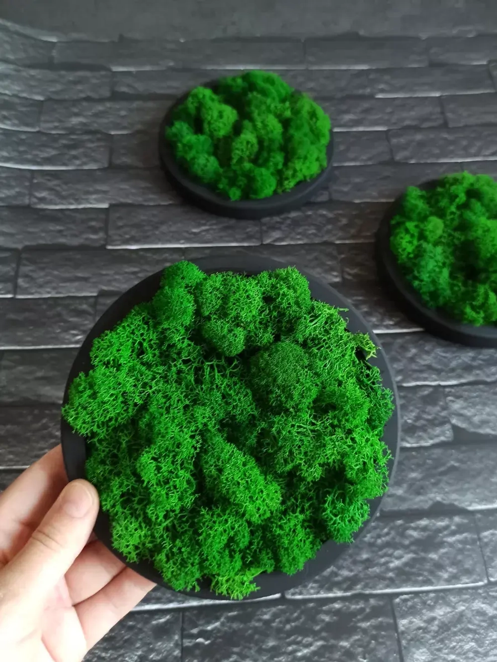 Панно из мха набор 3 шт.