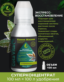 Экспресс восстановление