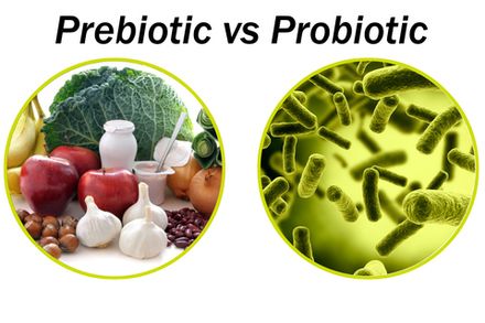 Про- и пребиотики
