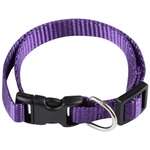 Ошейник с застежкой, размер S, 20-30 см