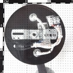 Citilux Фортуна CL156142 Люстра с поворотными плафонами Венге Хром