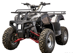 Квадроцикл YACOTA SELA 200