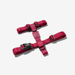 Шлейка BORDEAU Zee.Dog, размер L