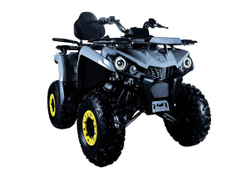 Квадроцикл AVANTIS Forester Long 200 Basic