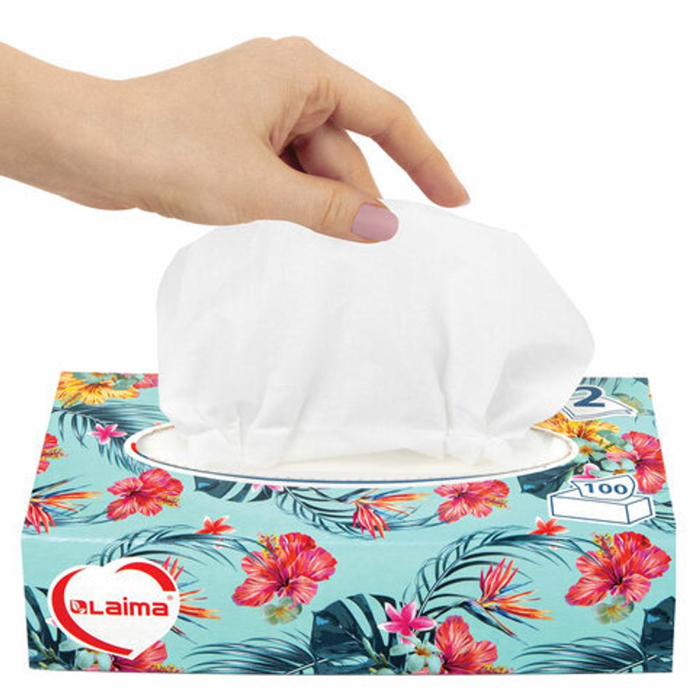 Салфетки косметические 100 шт. в картонном боксе 2-слойные, LAIMA "Everyday", 20х20 см, 113588