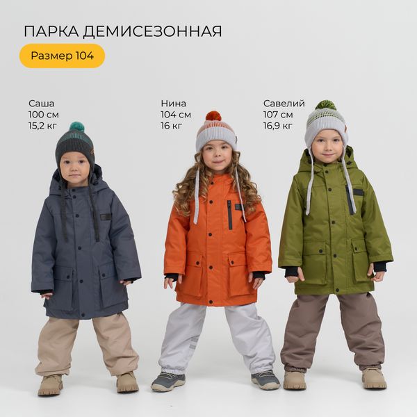 Парка демисезонная 