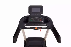 Беговая дорожка Watson Dynamics Pro 300 TFT