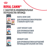 Royal Canin Hairball Care Хэйрболл Кэа Корм сухой для взрослых кошек профилактика образования волосяных комочков 10кг