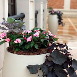 Кашпо BONSAI SANTORINI D50 H20